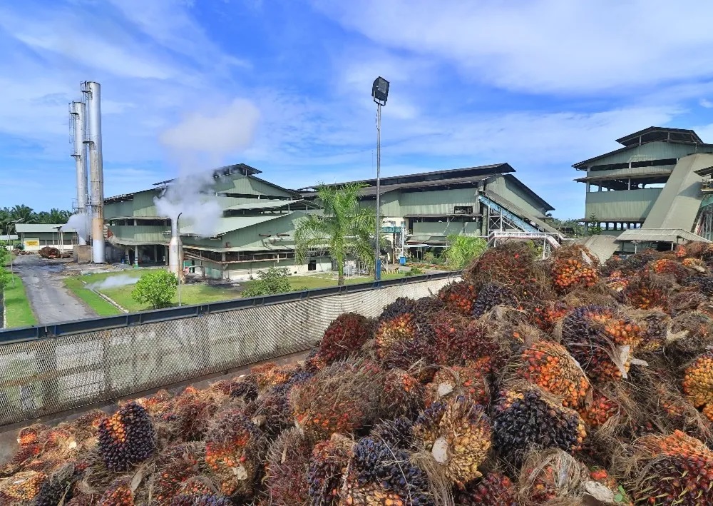Dok. Astra Agro Lestari