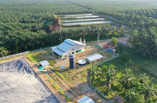 Dok. Eagle High Plantations