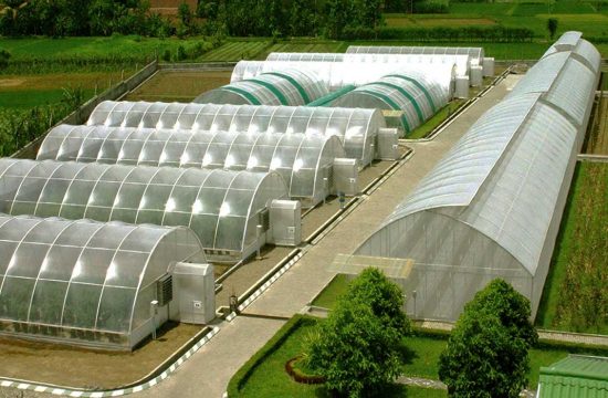 Dok. PT Bisi International Tbk (BISI)