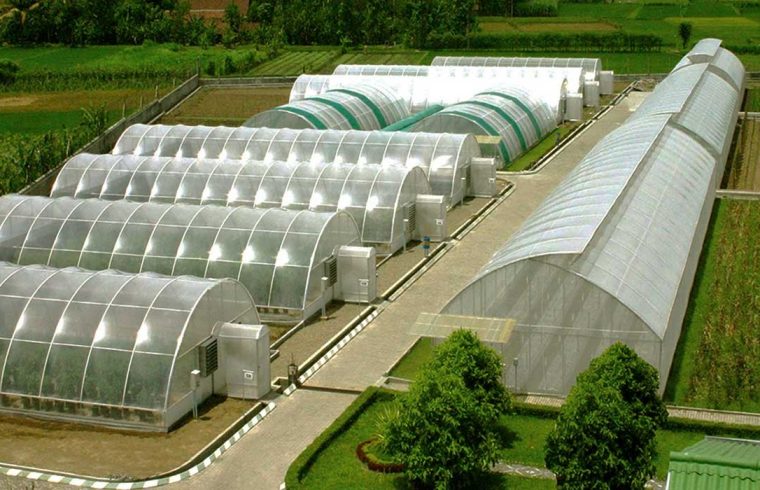 Dok. PT Bisi International Tbk (BISI)