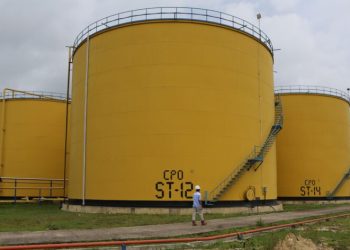 Dharma Satya Nusantara (DSNG) Catatkan Pertumbuhan Laba pada Paruh Pertama 2025