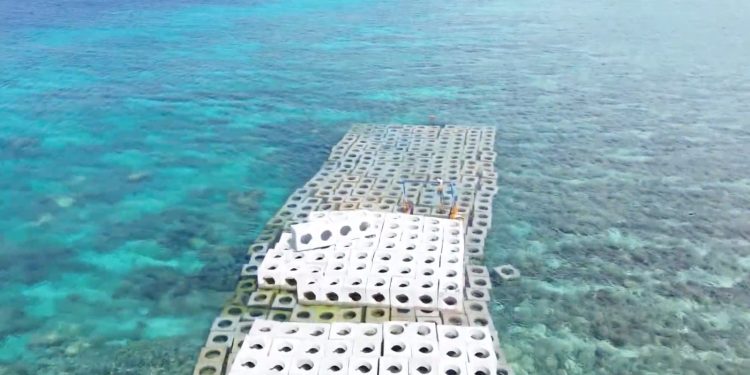 WTON Bukukan Laba Rp40,02 Miliar Pada Tahun Buku 2025