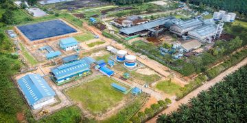 Teladan Prima Agro (TLDN) Siapkan Capex Rp600 Miliar pada Tahun 2026, Perkuat Hilirisasi dan Ekspansi Akuisisi