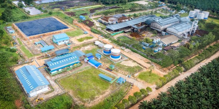 Teladan Prima Agro (TLDN) Siapkan Capex Rp600 Miliar pada Tahun 2026, Perkuat Hilirisasi dan Ekspansi Akuisisi